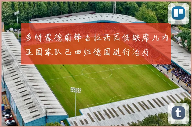 多特蒙德前锋吉拉西因伤缺席几内亚国家队已回归德国进行治疗
