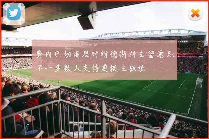 费内巴切高层对特德斯科去留意见不一多数人支持更换主教练