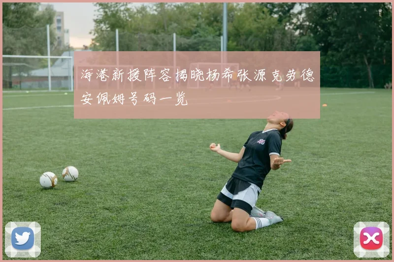 海港新援阵容揭晓杨希张源克劳德安佩姆号码一览